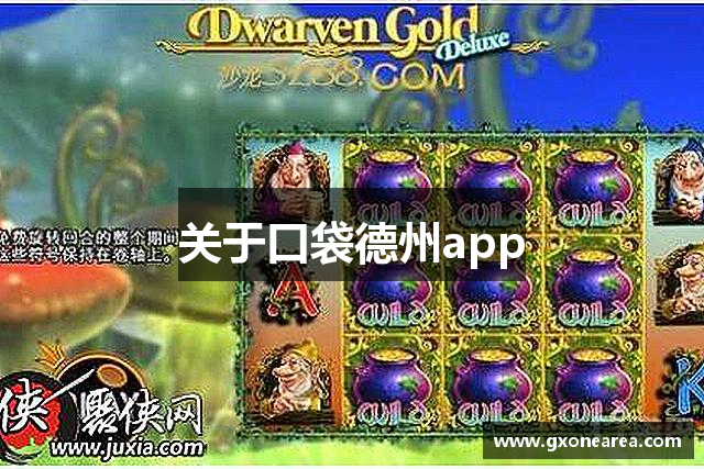 关于口袋德州app